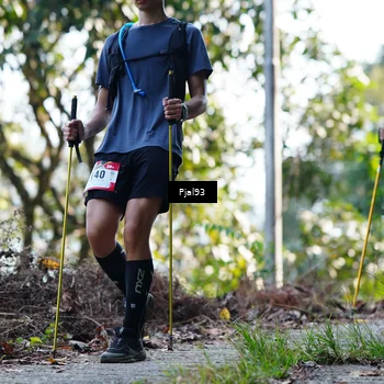 Runner Photo 5151270