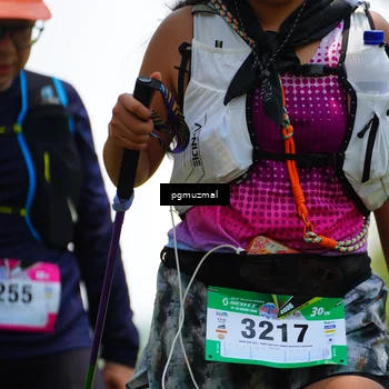 Runner Photo 5151866