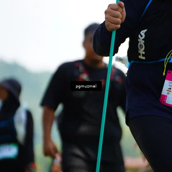 Runner Photo 5151868