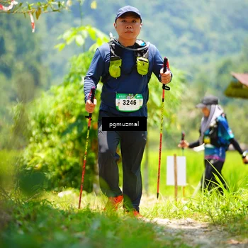 Runner Photo 5152771
