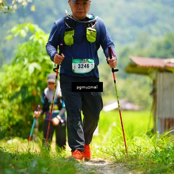 Runner Photo 5152801