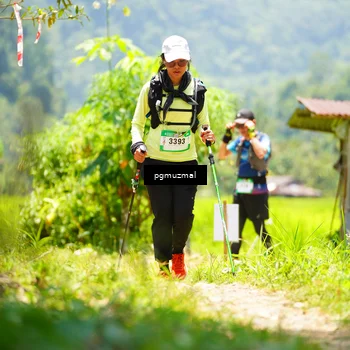Runner Photo 5153640