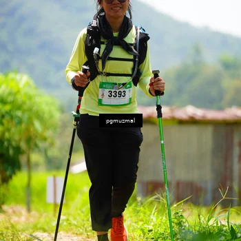Runner Photo 5153656