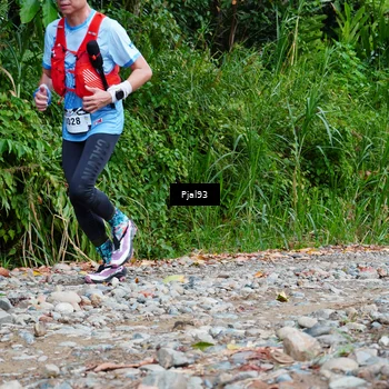 Runner Photo 5153854