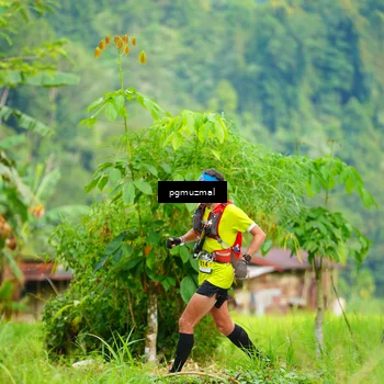 Runner Photo 5154727