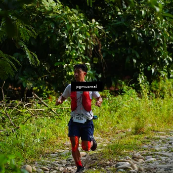 Runner Photo 5154800