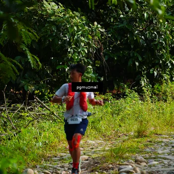 Runner Photo 5154802