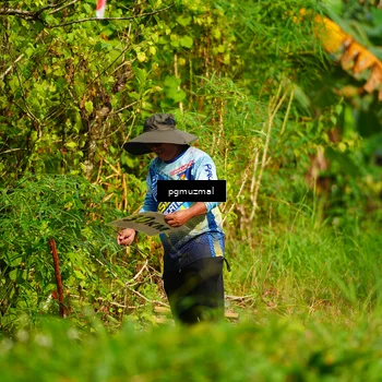 Runner Photo 5154866