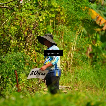 Runner Photo 5154867