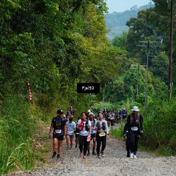 Runner Photo 5154885