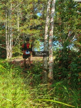 Runner Photo 5155