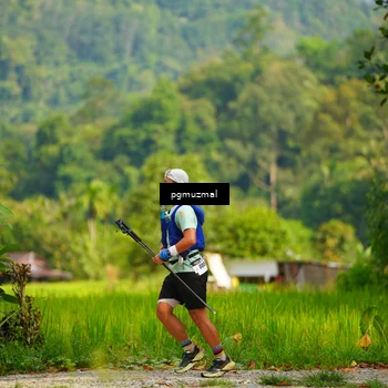 Runner Photo 5155226