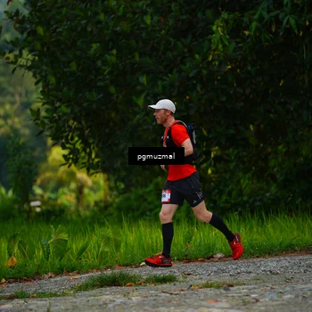 Runner Photo 5155246