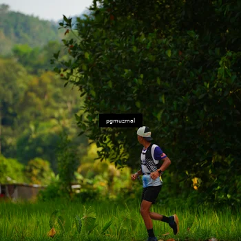 Runner Photo 5155600