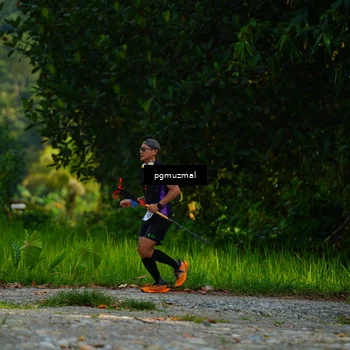 Runner Photo 5155656