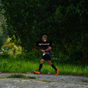 Runner Photo 5155683