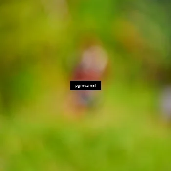 Runner Photo 5155689