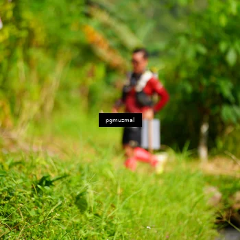 Runner Photo 5155714