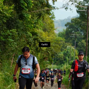 Runner Photo 5155986