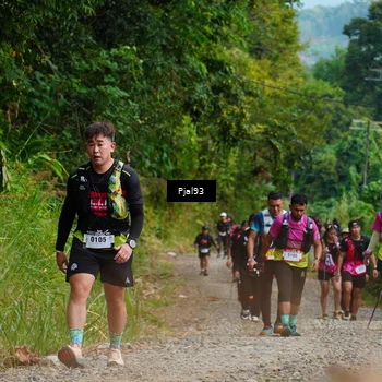 Runner Photo 5156043