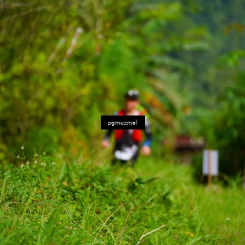 Runner Photo 5156180