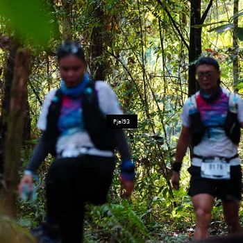 Runner Photo 5156902