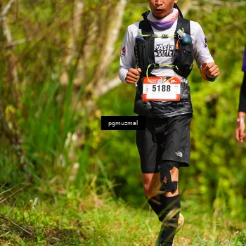 Runner Photo 5156924