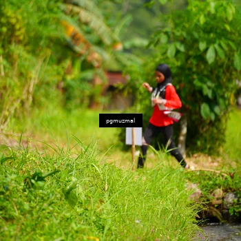 Runner Photo 5157013