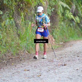 Runner Photo 5160222