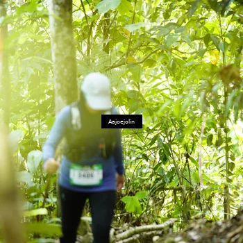 Runner Photo 5162741