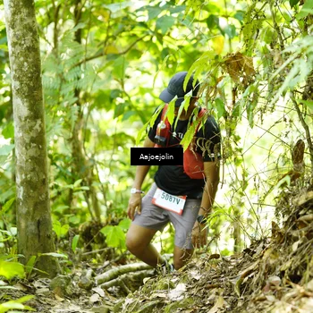 Runner Photo 5162909