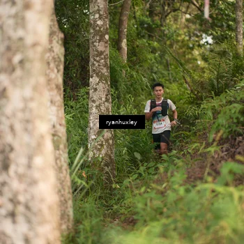 Runner Photo 5163411