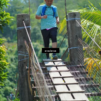Runner Photo 5164481