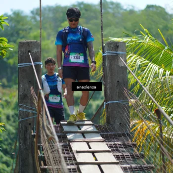 Runner Photo 5164631