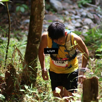 Runner Photo 5164773