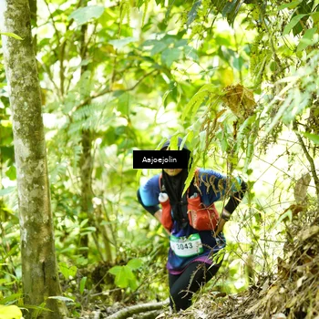 Runner Photo 5164900