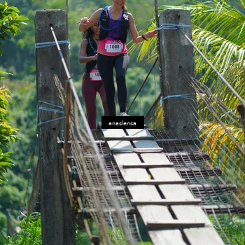Runner Photo 5164986