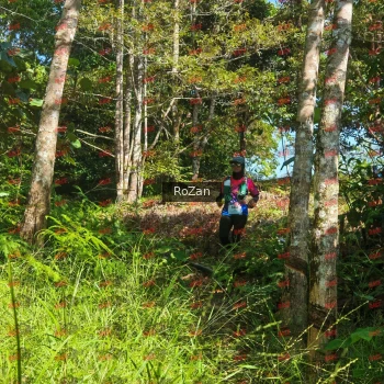 Runner Photo 5165