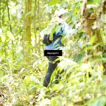 Runner Photo 5165635