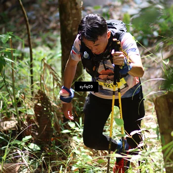 Runner Photo 5166567
