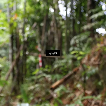Runner Photo 5166733