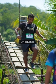 Runner Photo 5166925