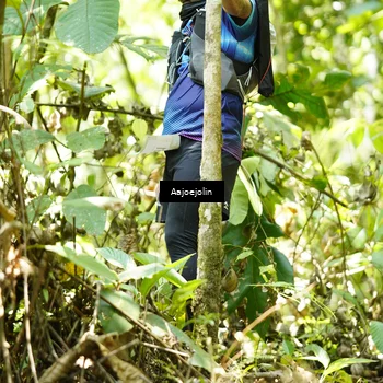 Runner Photo 5167060