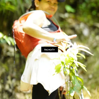 Runner Photo 5167116