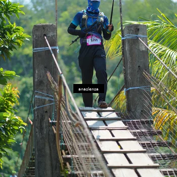 Runner Photo 5167631