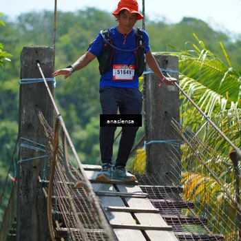 Runner Photo 5167795