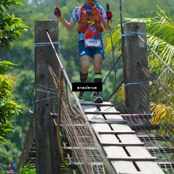 Runner Photo 5167947