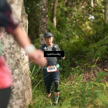 Runner Photo 5168620