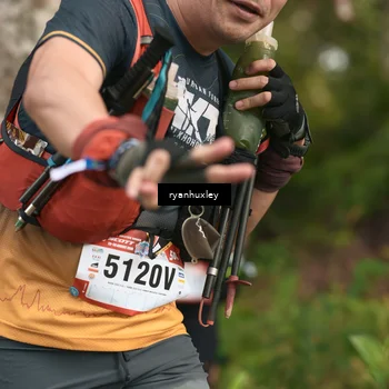 Runner Photo 5168687