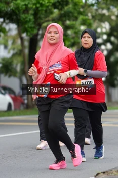 Runner Photo 51687